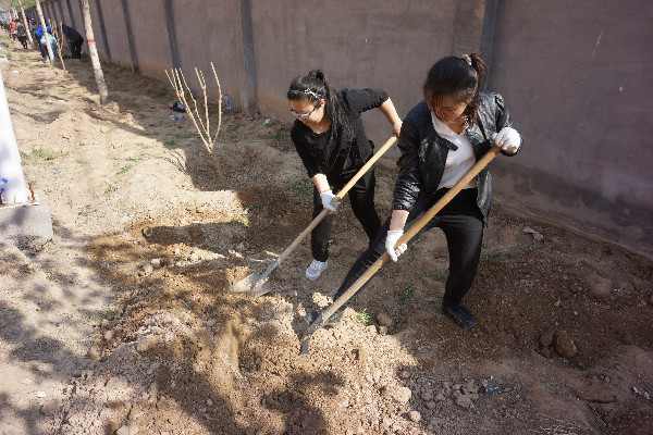 我校师生到贺阳国际中小学参加劳动