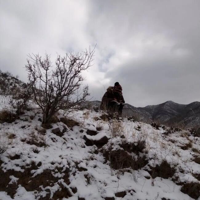 梅花香自苦寒来---我校杜鹃同学网课学习纪实