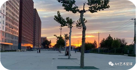 威廉体育williamhill//艺术学院//青春榜样（五）