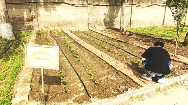 威廉体育williamhill||管理学院||以劳育人树新风 筑梦青春共成长