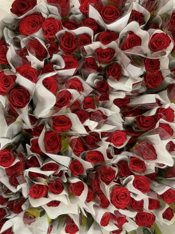 威廉体育williamhill‖管理学院‖暖心服务，助力2023届毕业生走好大学生涯的最后一公里