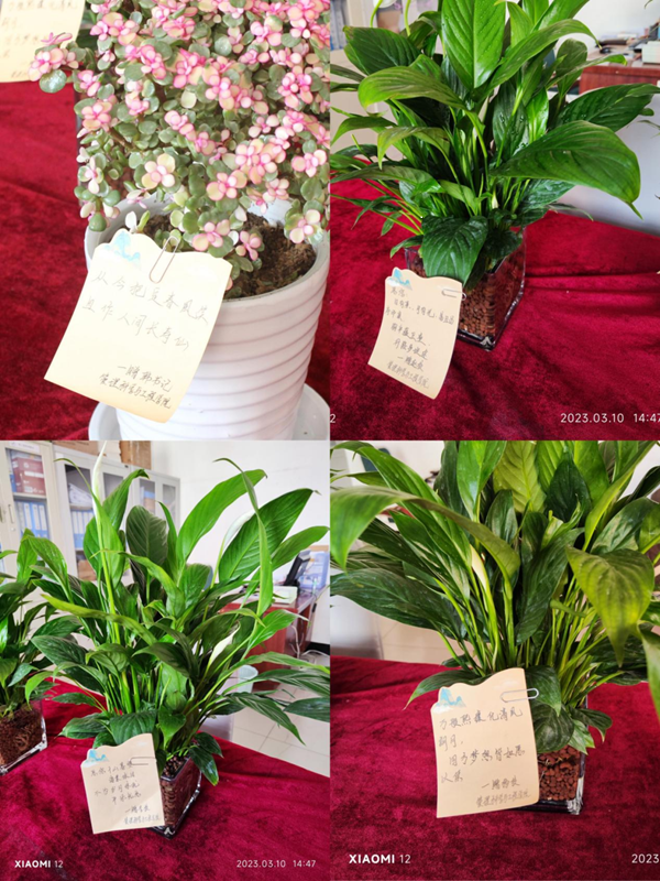 威廉体育williamhill|管理学院|手植绿茵 播洒希望