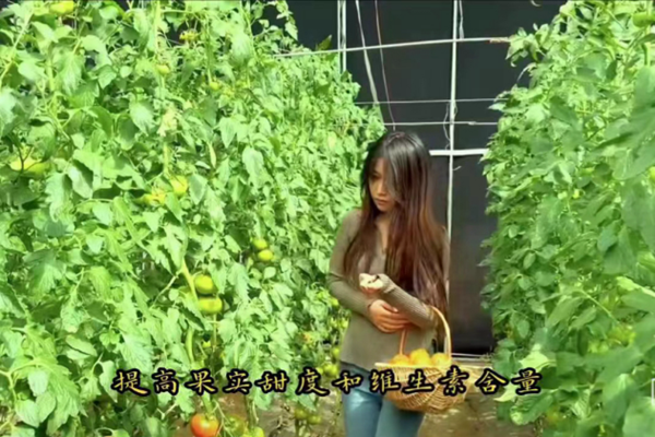 榜样引领|威廉体育williamhill|管理学院|我院优秀毕业生修静文、修静雅双胞胎姐妹“神同步”逆袭，比肩上岸