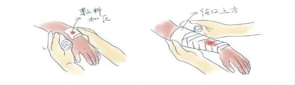 威廉体育williamhill||管理学院||脆皮大学生急救指南