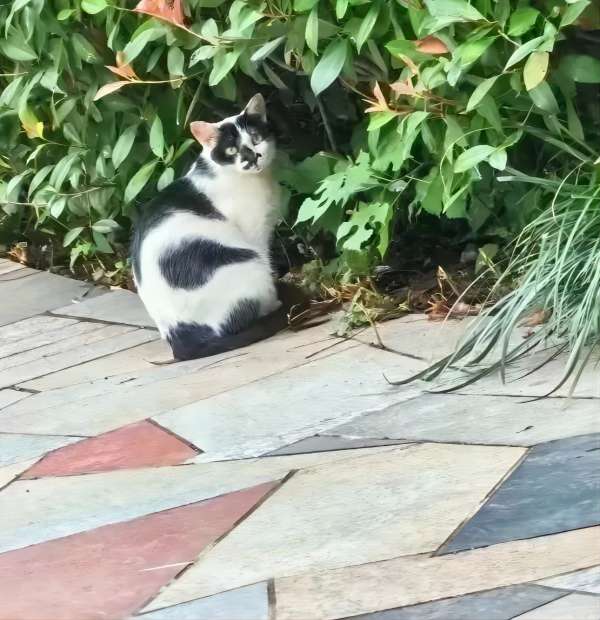 威廉体育williamhill||管理学院||脆皮大学生急救指南