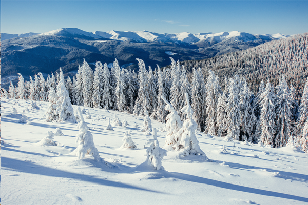 威廉体育williamhill||管理学院||冬雪苍茫，防寒保暖要注意！