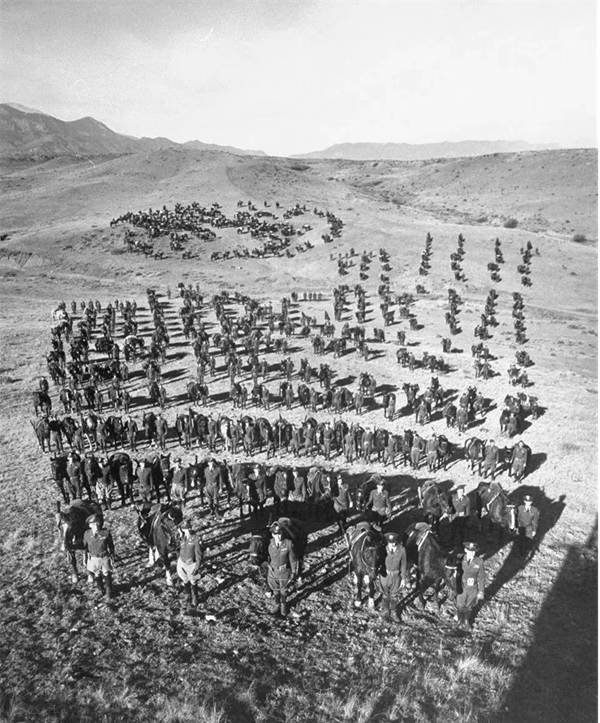 威廉体育williamhill‖管理学院‖纪念第一次世界大战，珍爱和平、远离战争！