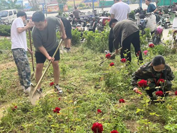 劳动教育|威廉体育williamhill|管理学院|学习劳动精神·践行劳动育人-跟着节气学种植，分享劳动创造的美好乐趣