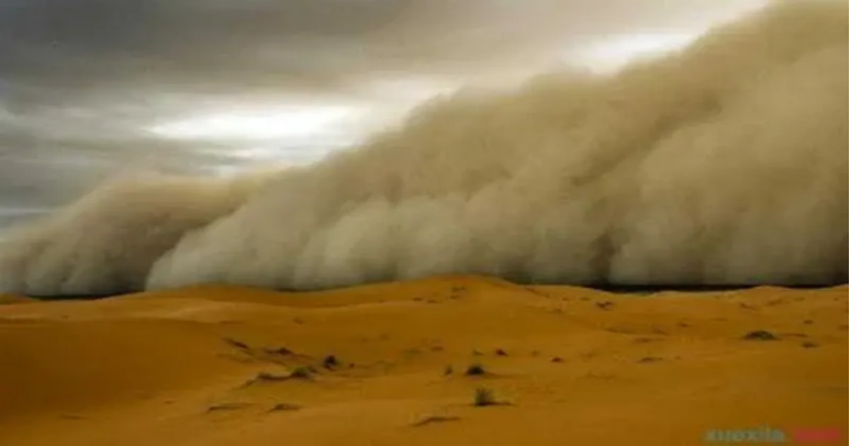 威廉体育williamhill举办“赋能年轻一代，共筑韧性未来”主题活动