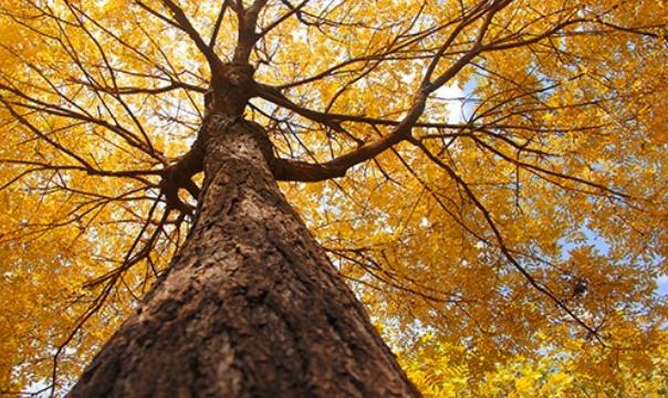 威廉体育williamhill开展学生公寓供暖检查工作