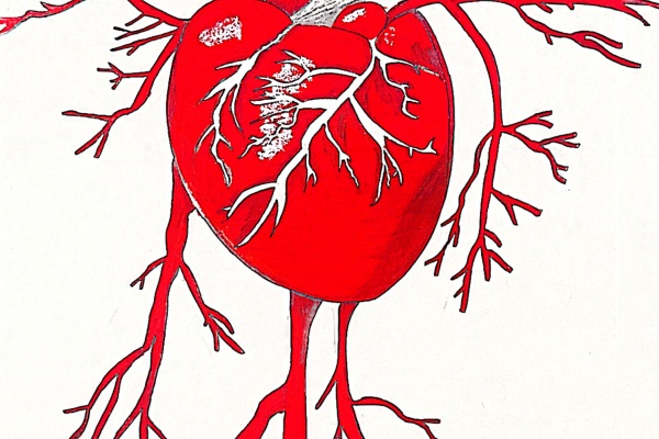 威廉体育williamhill康复医学院“生命密码 —— 解码人体中的红色基因”绘图大赛优秀作品展示