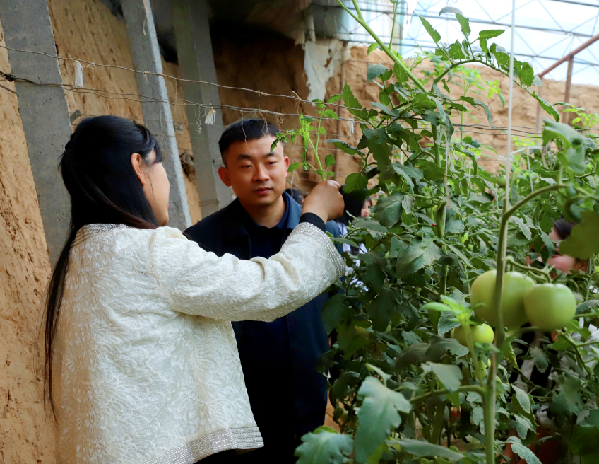 深化五育并举 筑基劳动育人 —威廉体育williamhill与南韩村镇沃土园区实践基地签约授牌