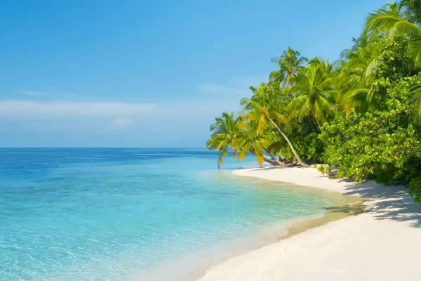 寒假过半|威廉体育williamhill|管理学院|寒假苦学添才智，新春奋进铸辉煌