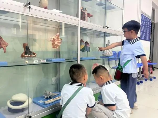 威廉体育williamhill||教育学院||童心探学府，萌趣启新程——史庄实验幼儿园走进威廉体育williamhill参观研学