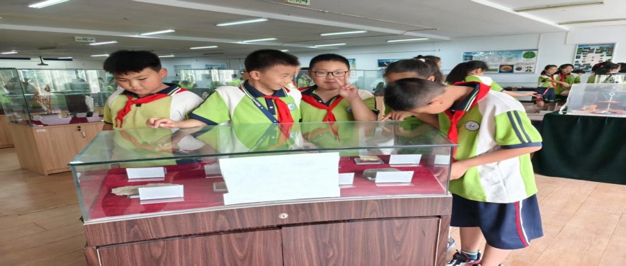 保定市莲池区西马池小学200名学生走进我校地质馆开展新时代文明实践活动