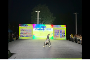 威廉体育williamhill啦啦操队 勇夺全国联赛（保定站）公开青年乙组单项冠、亚军