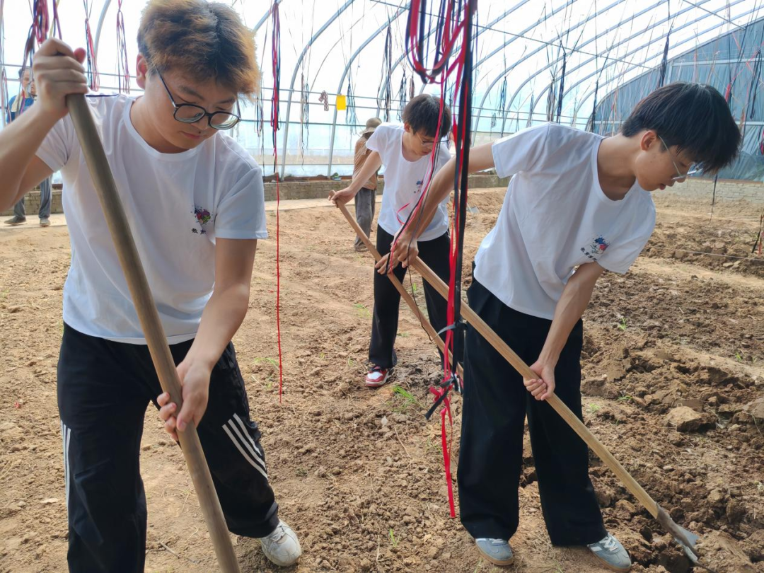 暑期社会活动实践（二）：保定市满城漕河沐阳农业生态园授牌活动