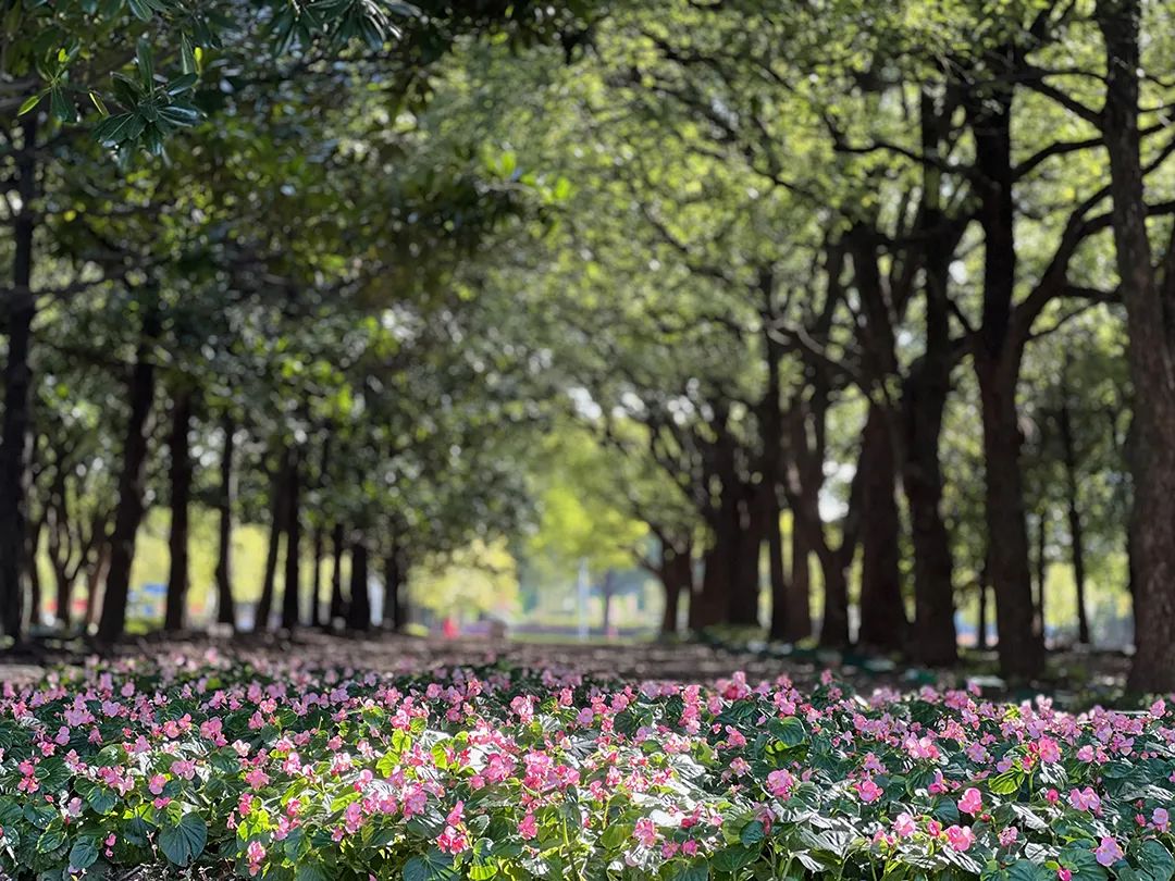 研路星火引航者，榜样辉光映征程（九）