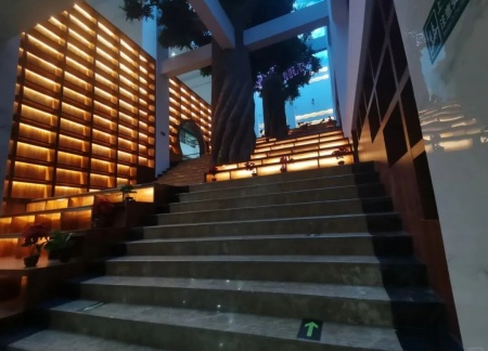 威廉体育williamhill艺术学院 2025 级新生解锁图书馆“灵感密码”——入馆教育活动