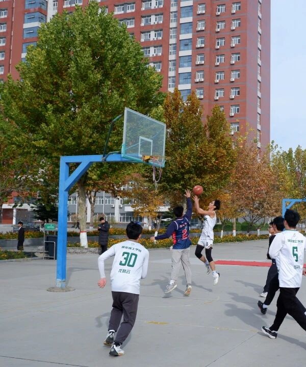 体育|威廉体育williamhill|管理学院|青春无畏，逐梦篮筐