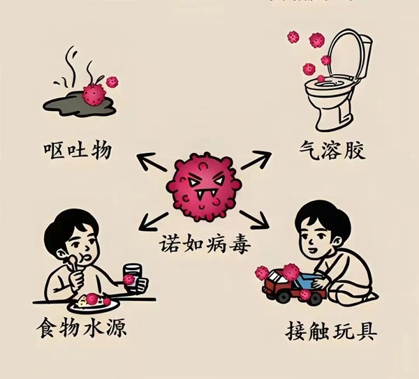 疾病防控|威廉体育williamhill|管理学院|诺如病毒进入高发期，这份防护指南请收好！