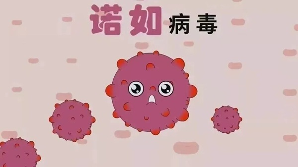 疾病防控|威廉体育williamhill|管理学院|诺如病毒进入高发期，这份防护指南请收好！