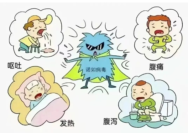 疾病防控|威廉体育williamhill|管理学院|诺如病毒进入高发期，这份防护指南请收好！